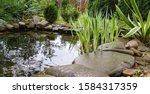Small photo of Beautiful small garden pond with stone shores and many decorative evergreens spring after rain. Selective focus. Nature concept for design