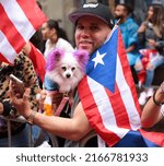 Small photo of New York, New York - June 12, 2022 : The 65th Annual National Puerto Rican Day Parade took place on New York City’s Fifth Avenue from 43rd Street to 79th St, Sunday June 12.