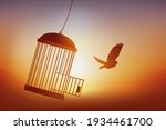 concept of freedom  with a bird ... | Shutterstock .eps vector #1934461700