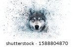 Wolf Wallpaper With Decay...