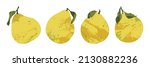 juicy pomelo  pummelo. fresh... | Shutterstock .eps vector #2130882236