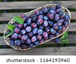 basket with fresh blue plums on ... | Shutterstock . vector #1164193960