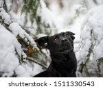 dreaming of a white christmas.... | Shutterstock . vector #1511330543