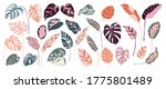 tropical leaves and abstract... | Shutterstock .eps vector #1775801489