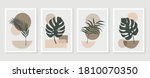 botanical wall art vector set.... | Shutterstock .eps vector #1810070350