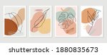 botanical wall art vector set.... | Shutterstock .eps vector #1880835673