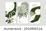 tropical botanical triptych... | Shutterstock .eps vector #2010900116