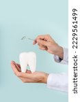Small photo of Dental care concept. Dentist holds healthy tooth model and mirror on blue background. Copy space. Vertical. Teeth whitening, oral hygiene, teeth restoration, dentist day. Dental clinic special offer