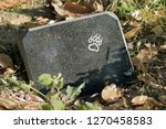 Tombstone On Pet's Grave