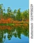 Small photo of photographer Kravtsov. beautiful wild forest, Zalesye nature reserve, pine forest, deciduous forest. colorful autumn landscape, mirror lakes.