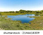 Landscape Of The Ibera Wetlands ...