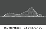 abstract elevation contour... | Shutterstock .eps vector #1539571430