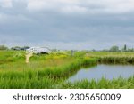 Small photo of Spring countryside landscape, Flat, low and water land, Typical Dutch polder with green meadow, White wooden bridge, Small canal or ditch and the grass field along the road, North Holland, Netherlands
