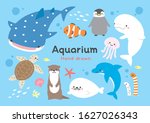 pretty colorful some aquarium... | Shutterstock .eps vector #1627026343