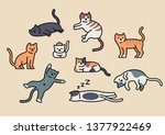 Many Cats In Various Poses....