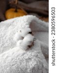 Small photo of Slippers and autumn leaves and cotton flower. White soft slippers in an autumn composition. Warm soft winter slippers.