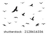bird silhouette red kite free... | Shutterstock .eps vector #2128616336