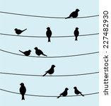 Group Of Birds On Wires. Black...