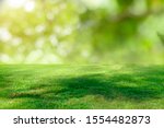 Nature green grass with bokeh background. 
