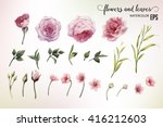 flowers and leaves  watercolor  ... | Shutterstock .eps vector #416212603