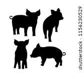 black pig silhouette. vector... | Shutterstock .eps vector #1156230529