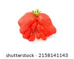 Small photo of A fresh mutant strawberry with a strange shape. Funny red berry isolated on white background