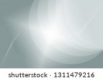 beautiful white abstract... | Shutterstock . vector #1311479216
