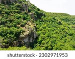 Evergreen and deciduous trees, forest, rock outcrop, cliff top view. Nature background, daylight. The concept of the environment, clean air, climate, travel. Sunny day. Nobody.