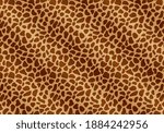 giraffe pattern skin print... | Shutterstock .eps vector #1884242956