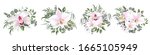 vector set of flowers on a... | Shutterstock .eps vector #1665105949