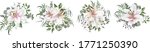 vector flower set. white lilies ... | Shutterstock .eps vector #1771250390