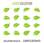 simple flat green leaf design... | Shutterstock .eps vector #1889185840