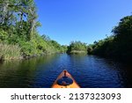 Kayaking Turner River in Big Cypress National Preserve, Florida on clear cool winter morning.
