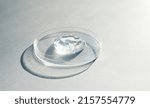 Small photo of petri dish with transparent helium serum