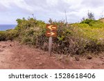 Small photo of A sign with two arrows pointed left and right at a fork of Ohai trail, Maui, Hawaii