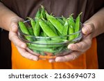 Hands holding bowl with fresh pea pods. Selective focus