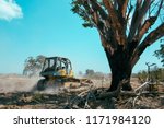 Small photo of A bulldozer try to make the land flat