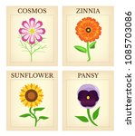 Flower Seed Packets Set Of Four ...