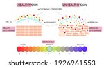 vector scientific scheme of... | Shutterstock .eps vector #1926961553