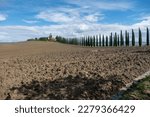 Typical Tuscan Landscape With...