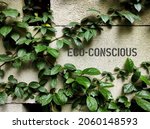 Green plant climber on wall with text ECO-CONSCIOUS, concept of showing sensitiveness for the environment in individual or product or service, using environmentally friendly practices