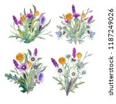 watercolor. field flowers.... | Shutterstock . vector #1187249026