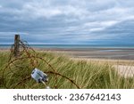Small photo of View of Normandy D-day coastlines. Beaches of Normandy WWII D-day landing sites visuals Normandy World War II seashores Operation Overlord shorelines World War II Normandy beach imagery Historical