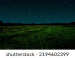 Starry night in grassland. Meadow landscape at night with sky full of stars