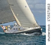 Small photo of Yachtsman on a sailing yacht