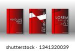 abstract vector layout... | Shutterstock .eps vector #1341320039