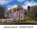 Small photo of TICEHURST, ENGLAND - APRIL 26th, 2022: Pashley Manor Gardens, beautiful buiding coved with wisteria in spring, East Sussex, England