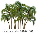 Group Of Coconut Palm Trees...