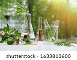 Natural drug research, Natural organic and scientific extraction in glassware, Alternative green herb medicine, Natural skin care beauty products, Laboratory and development concept.