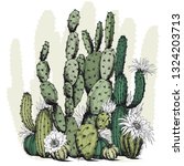 Square Card With Green Cactus...